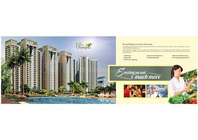 Sam Palm Olympia Brochure 5