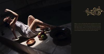 Elysium Gold Crest Brochure 27
