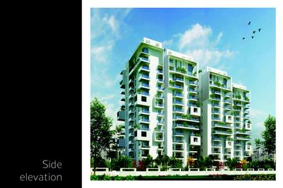 Trifecta Starlight Brochure 39