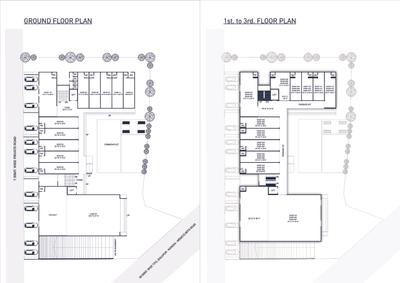 Sanay Caremark Brochure 6