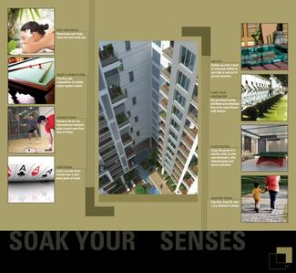 Expression Exotica Brochure 12