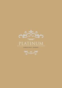 Aditya Platinum Brochure 1