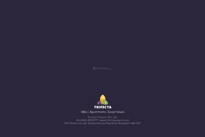 Trifecta Starlight Brochure 52