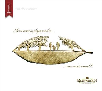 Image of 1350 Sq.ft Residential Plot / Land for sale in Altus Space Muirwoods, New Chandigarh, Chandigarh for Rs. 12000000