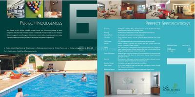 MSX Group Alpha Homes Brochure 5