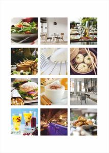 SS 100 Brochure 15