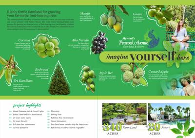 SSL Peacock Avenue Brochure 2