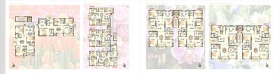 Fortune Icon Brochure 14
