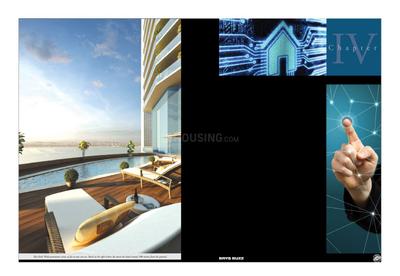 Brys Buzz Brochure 16