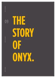 Onyx Bizmark 52 Brochure 9