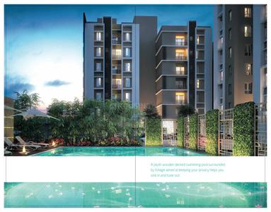 PS Equinox Brochure 21