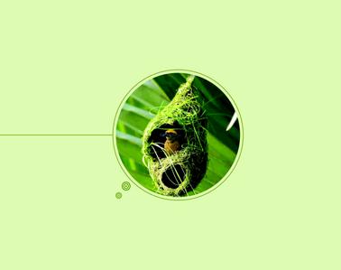 DAC Shrikar Brochure 5