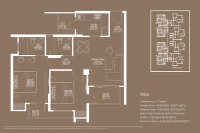 ACE Divino Brochure 49