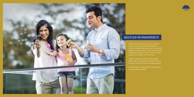 Pate Seya Brochure 2