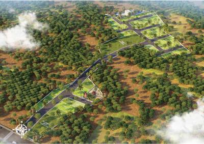 The Blue Oak Brochure 3