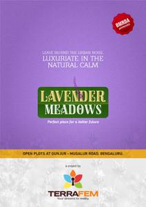 Terrafem Lavender Meadows Brochure 1