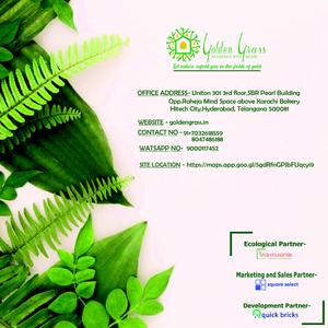 Golden Grass Brochure 22