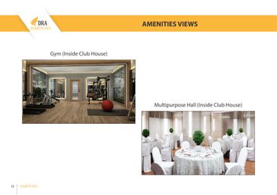 DRA Harmony Brochure 13