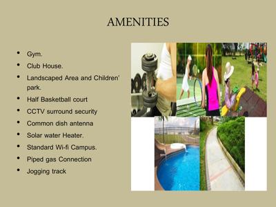 Windows Society Phase 4 Brochure 11
