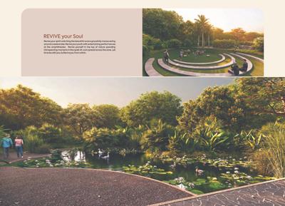 Rajyash Roseate Roots Brochure 17