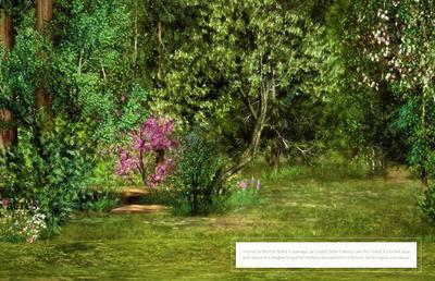 Reliaable Dollar Collony Phase 2B Brochure 11