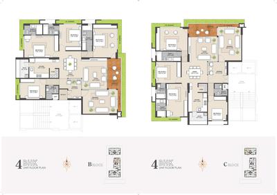 Strut Arcadia 77 Brochure 18