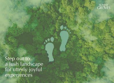 Cynosure Sunny Groves Brochure 7