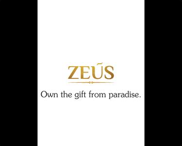 Dhammanagi Zeus Brochure 3
