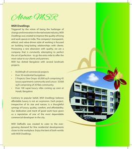 MSR Daffodils Brochure 11