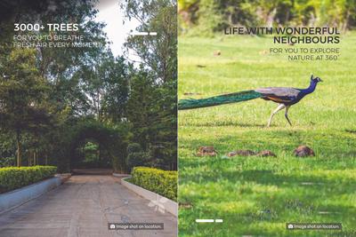 Treeland Brochure 7