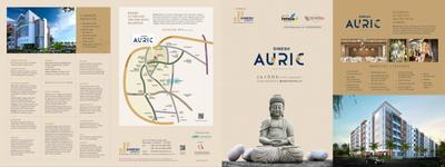 Dinesh Auric Brochure 1