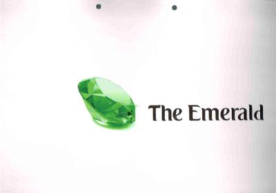 Image of 1300 Sq.ft 3 BHK Apartment / Flat for sale in Emerald The Emerald, Bhayli, Vadodara for Rs. 2700000