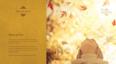 RSM Athena Brochure 2