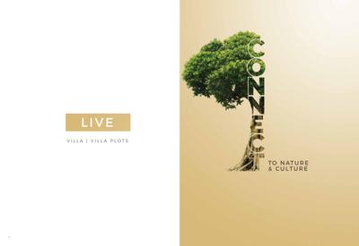 NBR Trifecta Brochure 8