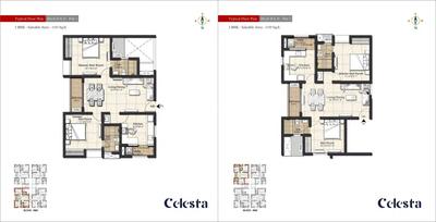 Celesta Brochure 9
