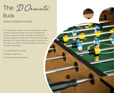 D Ornate Brochure 7