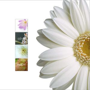 Iscon Flower Brochure 5