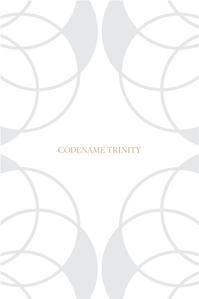 Lodha Codename Trinity Brochure 1