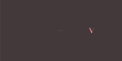 Viman Avenue Brochure 2
