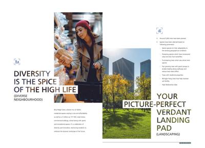 The Ridges 41 Brochure 13