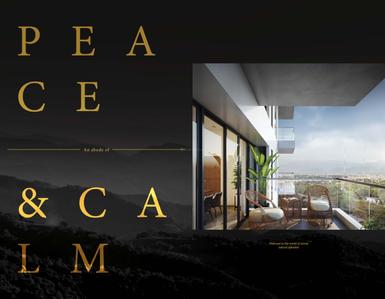 Darpan 88 Phase I Brochure 1