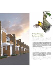 Celebrity Natures Habitat Brochure 7