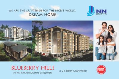 Nn Blueberry Hills Brochure 1