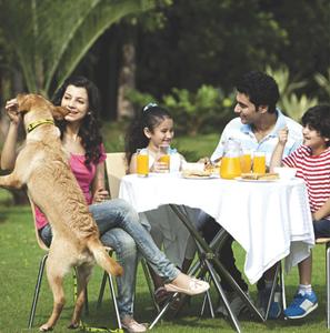 Image of 144 Sq.ft Residential Plot / Land for sale in Ansal Palm County, MDA, Meerut for Rs. 10300000
