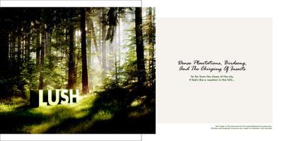 Sylvan Golf & Country Homes Brochure 11