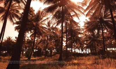 Value Willow Farm Brochure 6
