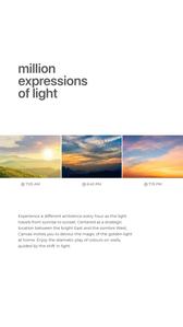 Canvas Brochure 14
