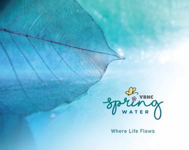 VBHC Springwater Brochure 1