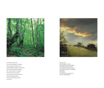 Cosmos Sun Glory Brochure 3