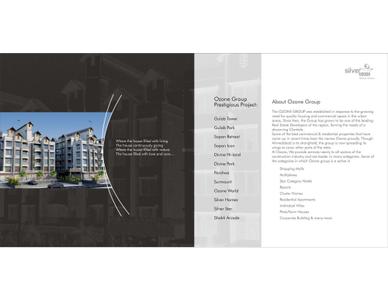 Ozone Silver Ozone Brochure 2